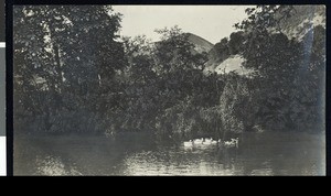 Ducks swimming in a stream in front of hotel at San Luis Hot Sulphur Springs, San Luis Obispo County, California, ca.1900