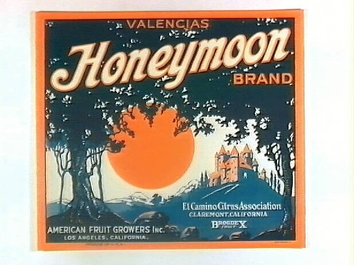 Honeymoon Brand