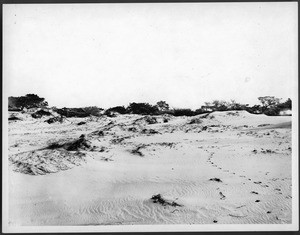 Drifting sands at Point Pinos, Monterey County, ca.1890