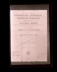 Doctoral diploma of Dentistry for Gualtero Engelmann from Universitas Litteraria Friderica Guilelma