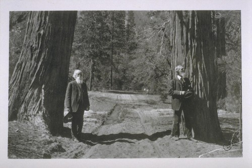 [John Muir] with John Burroughs, Yosemite