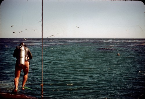 A scuba diver jumping off boat and into the sea