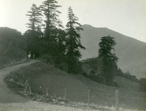 Mt. Tamalpais with dirt road in foreground, Marin County, California, circa 1922 [photograph]