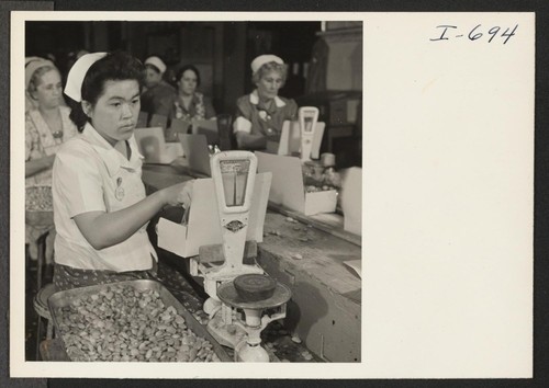 Mrs. Asano Hashiba, formerly of the Rohwer Relocation Center, is checking the weight of lima beans on the package line
