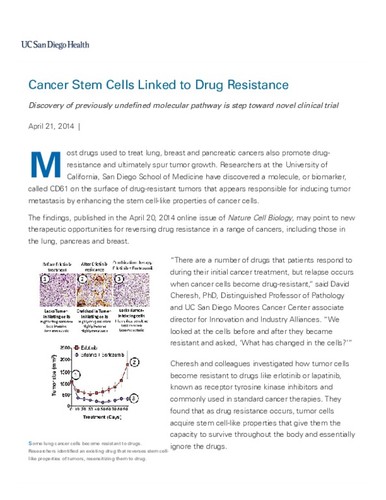 Cancer Stem Cells Linked to Drug Resistance