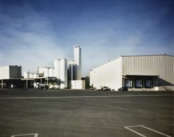 Parking lot at the California Cooperative Creamery plant in Petaluma, about 1990