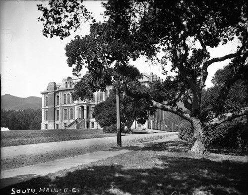 "South Hall, U.C.," behind an oak tree, University of California at Berkeley. [negative]
