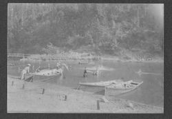Boats and swimmers on the Russian River, about 1900