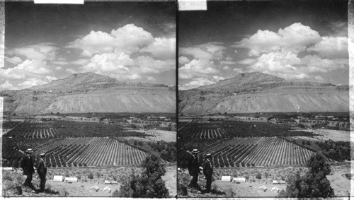Grand River Valley and its famous peach orchards. N.N.W. Palisade, Colorado
