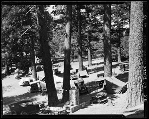 Campers, tents and automobiles beneath the tall trees at Big Pines Camp, ca.1928