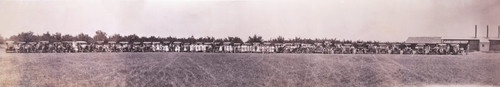 Calkins Ranch (line of automobiles and people in field), ca. 1925