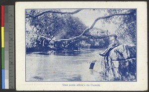 Footbridge over the Cuando River, Congo, ca.1920-1940