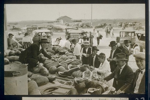 No. 105. Watermelon feed at Delhi, Sept. 29, 1921