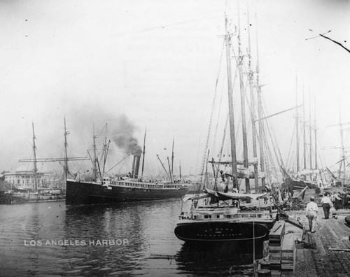 Ships in harbor