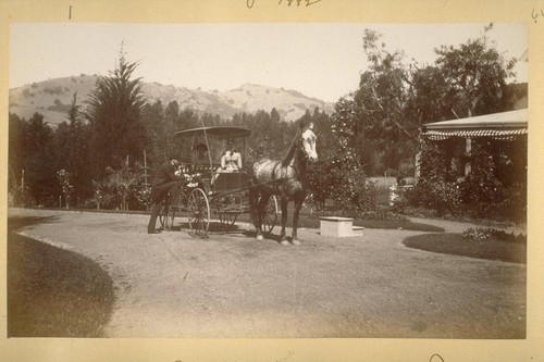 At Wm. B's [i.e. William Babcock's] place, San Rafael. 1882