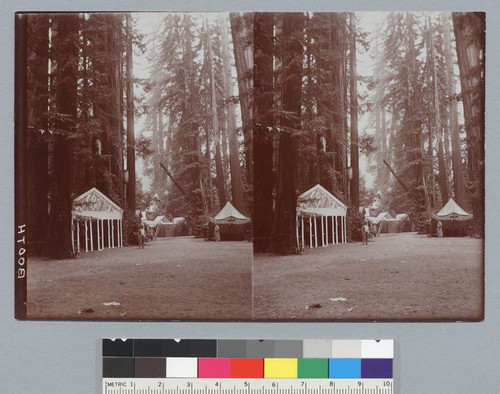 Camp with false façade and tents, Bohemian Grove. [photographic prints]