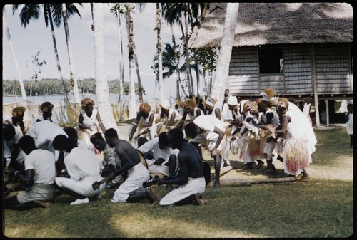 Male musicians, some with guitars, and female dancers with grass skirts and headress