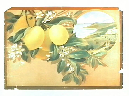 Stock label: lemons with vignette of seaside orchards