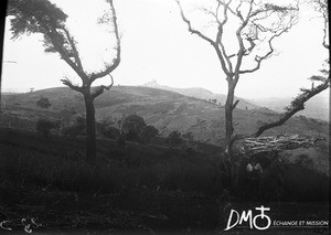 Landscape near Lemana, South Africa, ca. 1901-1915