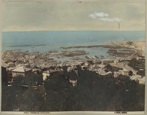3057. Genova. Panorama Dal Castellaccio