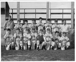 Group photo of Pony League baseball team All Stars consisting of Cardinals, Giants, Yankees and Braves of 1958