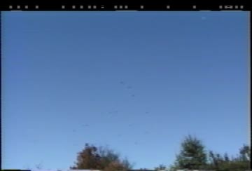 Turkey Vultures/Simi 9:15 - 9:30 am (Video)