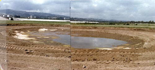 Sepulveda Wildlife Reserve pond, 1980