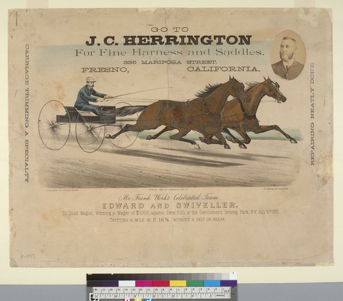 Go to J.C. Harrington for Fine Harnesses and Saddles