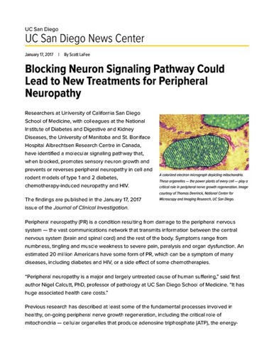 Blocking Neuron Signaling Pathway Could Lead to New Treatments for Peripheral Neuropathy