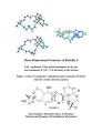 Chemistry 164, three-dimensional structure of roridin A