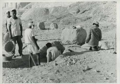 Digging in rocky desert