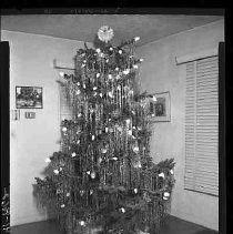 A tall Christmas tree