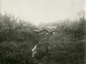 Huts in a village, in Gabon