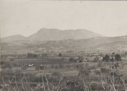 View of Mount St. Helena from Walker Hill