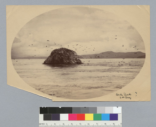 Arch Rock, San Francisco Bay? [photographic print]