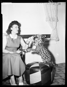 Mrs. Verna Koontz and mountain lion, 1956