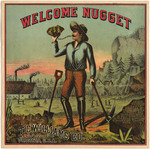 Welcome Nuggett