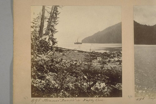 Steamer Pacific, in Safety Cove