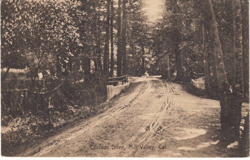Looking along Cascade Drive at a bridge over Old Mill Creek, Mill Valley, 1907 [postcard]
