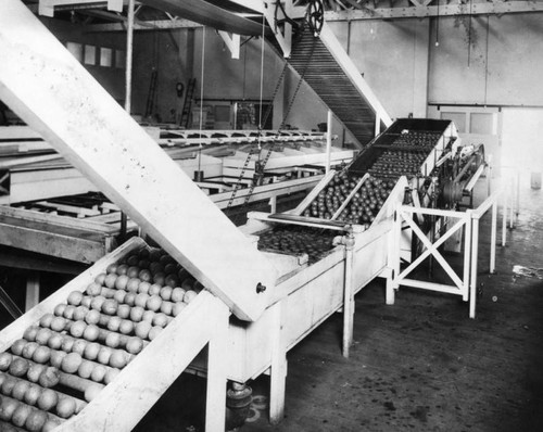 West Covina fruit processing plant