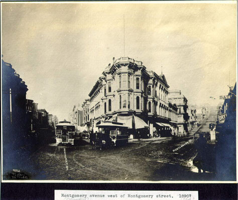 Montgomery (Columbus) avenue west of Montgomery street. 1884