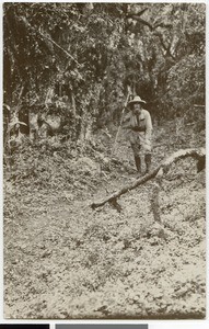 Hermann Bahlburg in the wood near Tulu Welel, Ethiopia, 1929-04-08