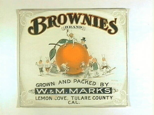 Brownies Brand