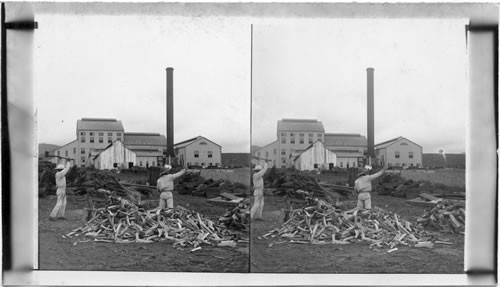A Sugar Mill in the Mauna Loa Valley, Hawaii. O.K. title with neg. V.J. Stanton