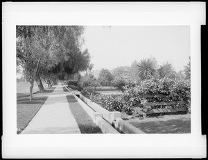 Zanja (irrigation ditch) which lies alongside the sidewalk on the west side of Figueroa Street looking south from 23rd Street, Los Angeles, ca.1890