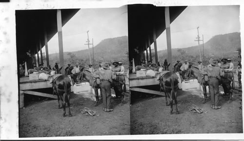 Loading Mules with Beef and Ice, Culebra Station, Panama Railroad