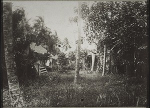 Scenery in Borneo, with a Dajak house
