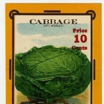 Cabbage, Drumhead