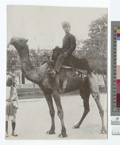 Postman, Punjab, Pakistan, ca.1910
