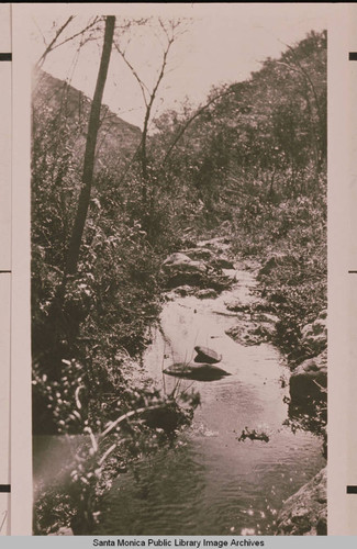 Temescal Creek in Temescal Canyon, Pacific Palisades, Calif